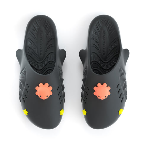 Sharkicks Pro Mule - タコ