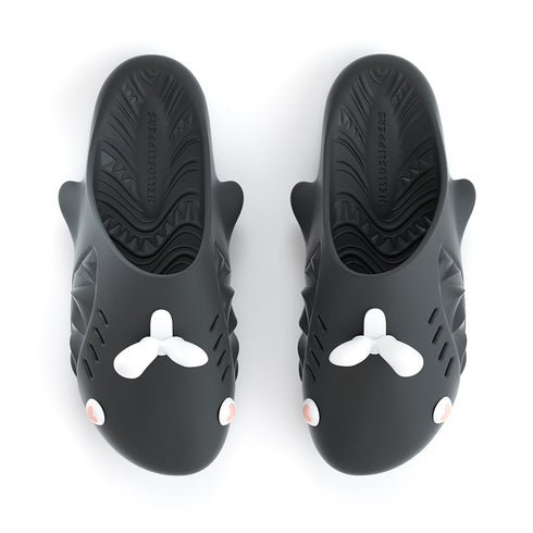 Sharkicks Pro Mule - バニー