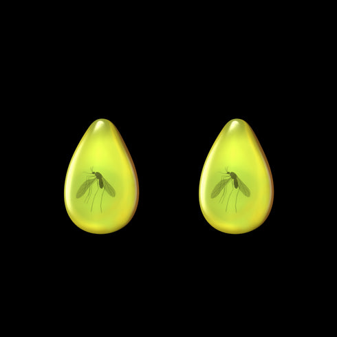 「T-Rex 化石サンダル」用の琥珀の中の蚊アクセサリー