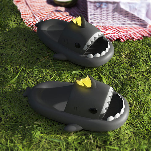 Sharkicks Basic - 鯉ドラゴン