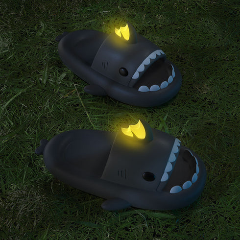 Sharkicks Basic - 鯉ドラゴン