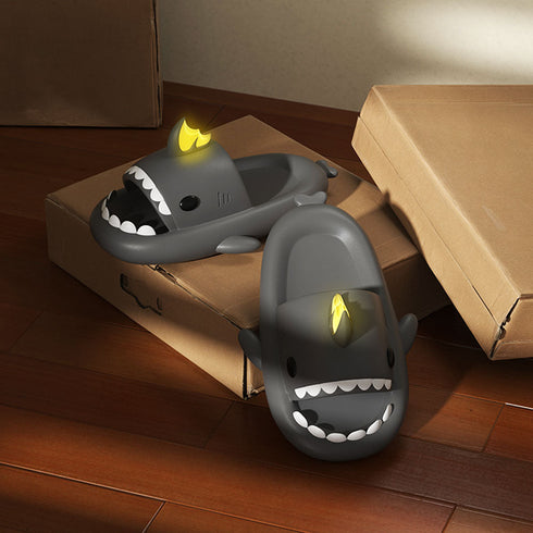 Sharkicks Basic - 鯉ドラゴン