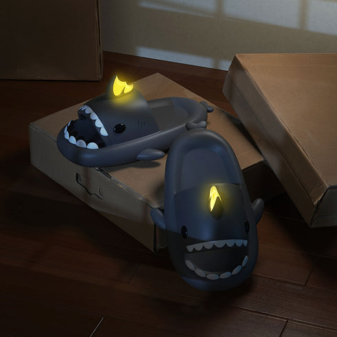 Sharkicks Basic - 鯉ドラゴン